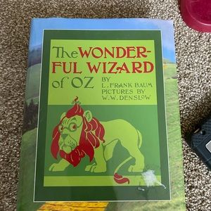 The wonderful wizard of oz book !
